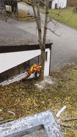 Просто гифки, всякие и&nbsp;разные