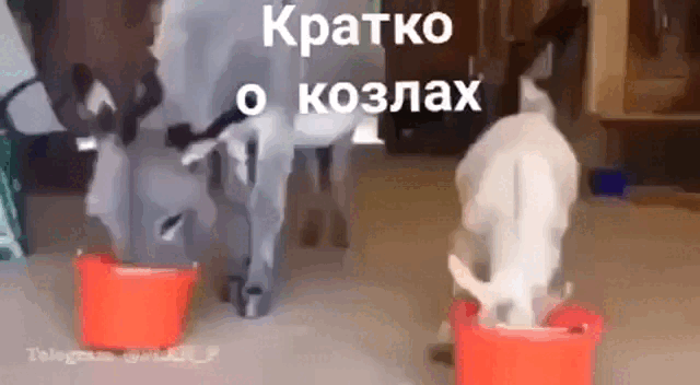 Просто гифки, всякие и&nbsp;разные