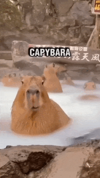 Просто гифки, всякие и&nbsp;разные