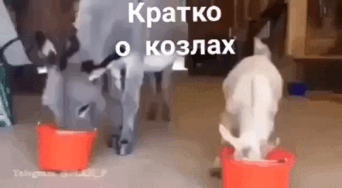 Просто гифки, всякие и&nbsp;разные