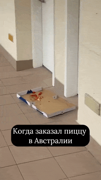 Просто гифки, всякие и разные Просто гифки, всякие и разные