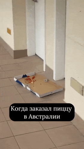 Просто гифки, всякие и&nbsp;разные