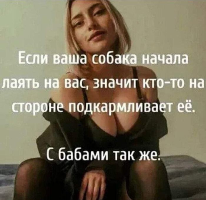 Не ищите здесь смысл. Здесь в основном маразм