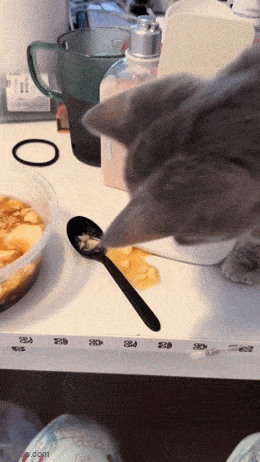 Вот и поели