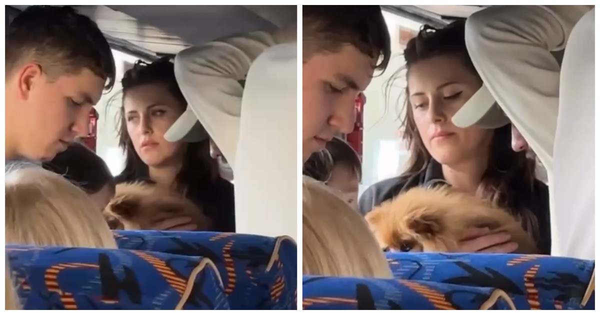 В Подмосковье заметили Беллу из «Сумерек»