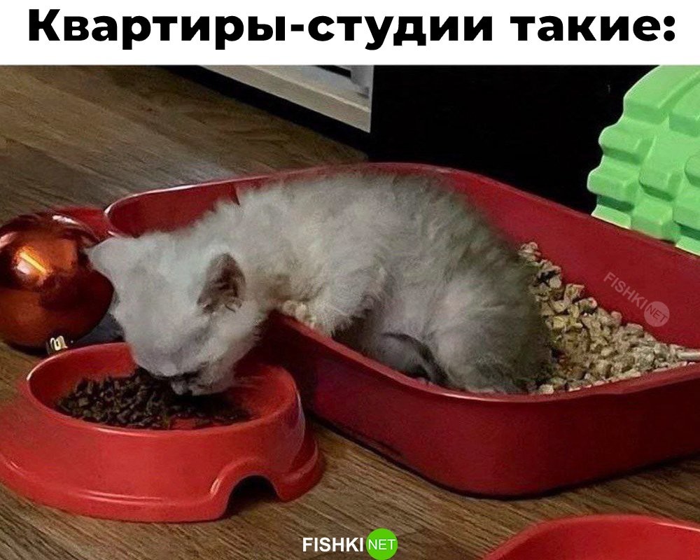 Не ищите здесь смысл. Здесь в основном маразм