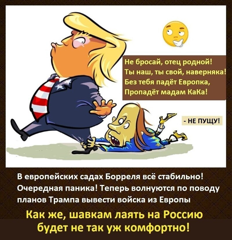 Политика , политика