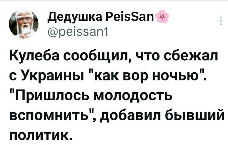 Политика , политика