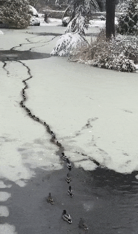 Просто гифки, всякие и&nbsp;разные