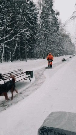Просто гифки, всякие и&nbsp;разные