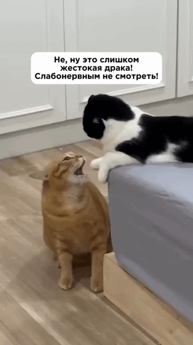 Просто гифки, всякие и&nbsp;разные