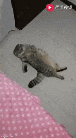 Просто гифки, всякие и&nbsp;разные