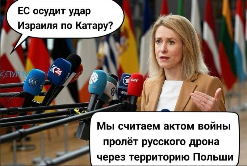 Лишь о политике