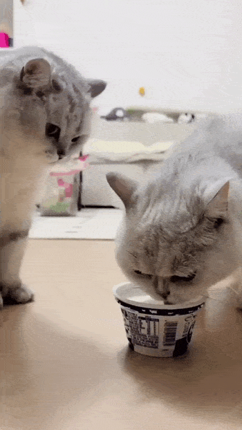 Просто гифки, всякие и разные Просто гифки, всякие и разные