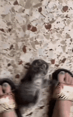 Просто гифки, всякие и разные Просто гифки, всякие и разные