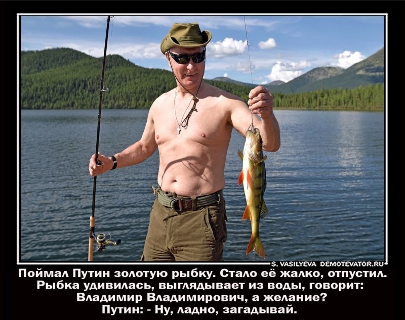 Не  только о политике