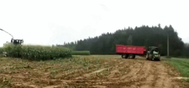 Просто гифки, всякие и разные Просто гифки, всякие и разные