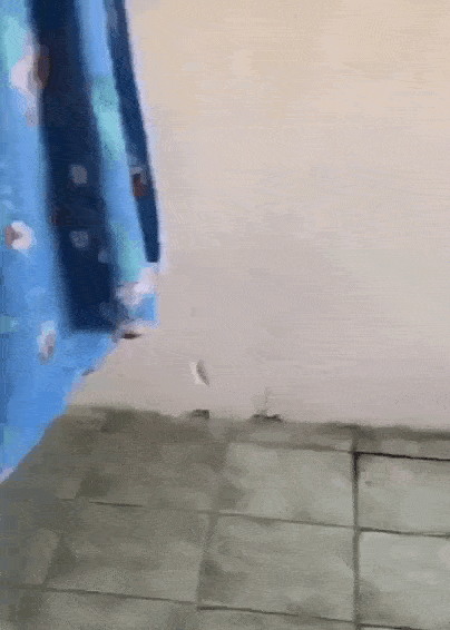 Просто гифки, всякие и разные Просто гифки, всякие и разные