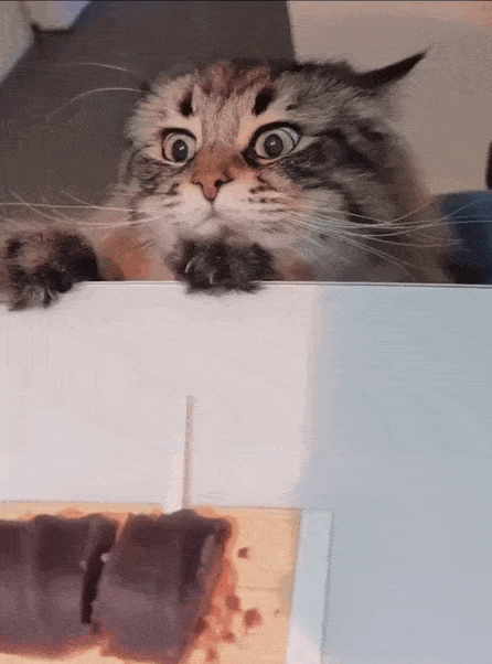 Просто гифки, всякие и разные Просто гифки, всякие и разные