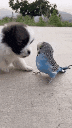 Просто гифки, всякие и разные Просто гифки, всякие и разные