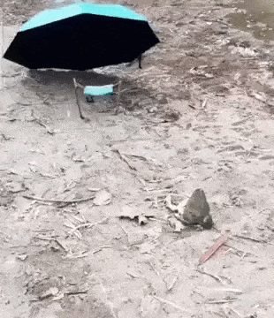 Просто гифки, всякие и разные Просто гифки, всякие и разные