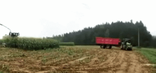 Просто гифки, всякие и&nbsp;разные