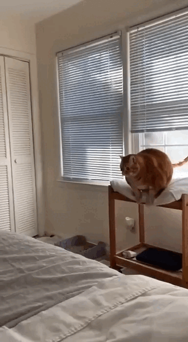 Просто гифки, всякие и&nbsp;разные