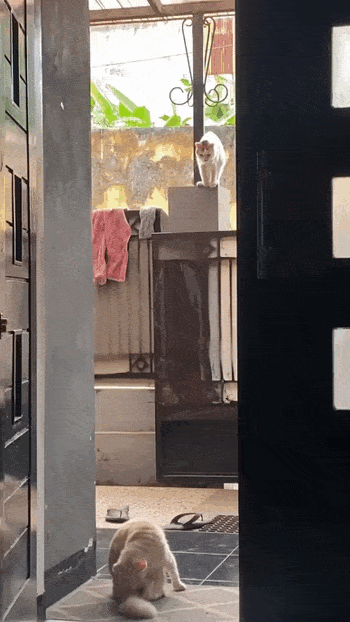 Просто гифки, всякие и&nbsp;разные