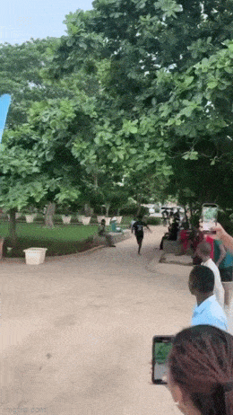 Просто гифки, всякие и&nbsp;разные