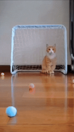 Просто гифки, всякие и&nbsp;разные