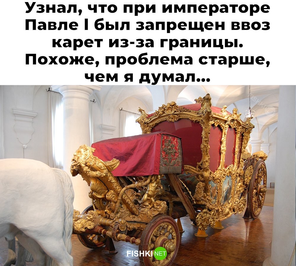 Смешные картинки