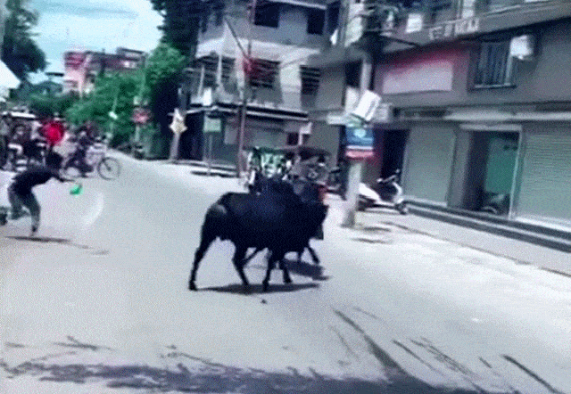 Просто гифки, всякие и разные Просто гифки, всякие и разные