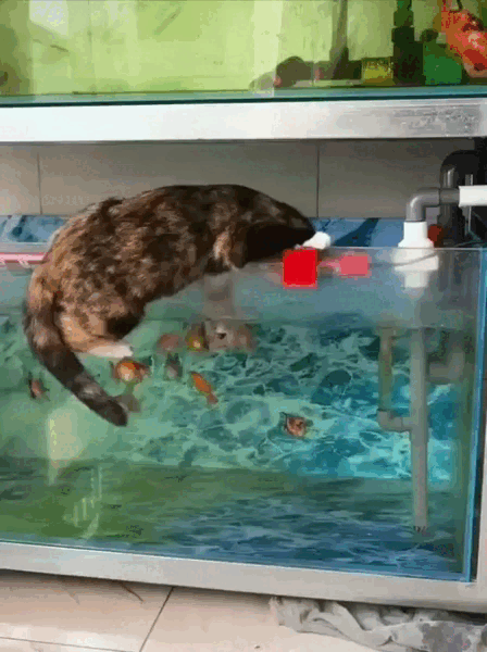 Просто гифки, всякие и разные Просто гифки, всякие и разные