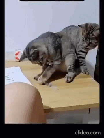 Просто гифки, всякие и разные Просто гифки, всякие и разные