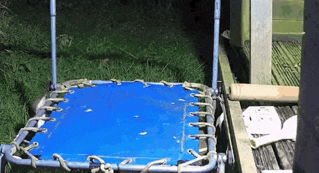 Просто гифки, всякие и разные Просто гифки, всякие и разные