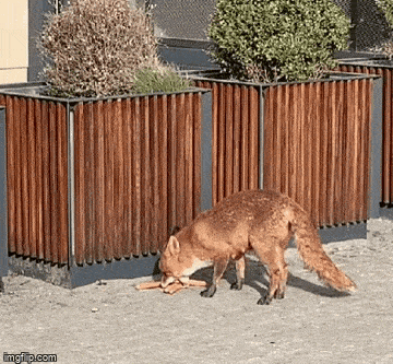 Просто гифки, всякие и разные Просто гифки, всякие и разные