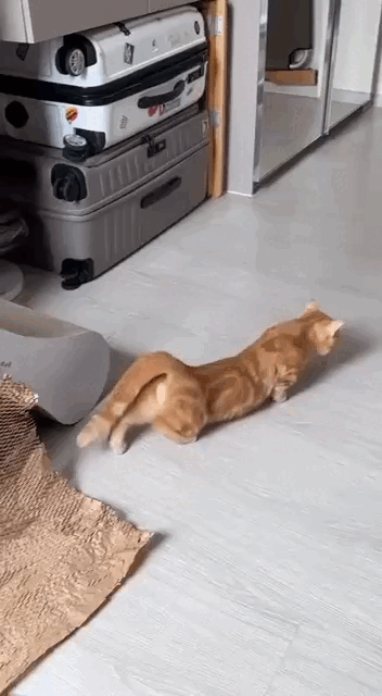 Просто гифки, всякие и&nbsp;разные