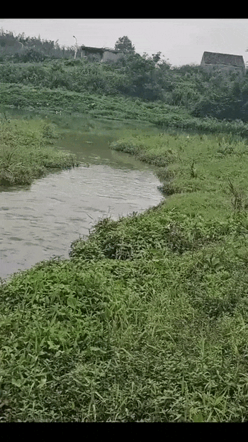 Просто гифки, всякие и&nbsp;разные