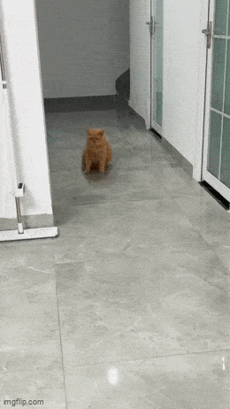 Просто гифки, всякие и&nbsp;разные