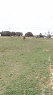 Просто гифки, всякие и&nbsp;разные