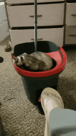 Просто гифки, всякие и&nbsp;разные