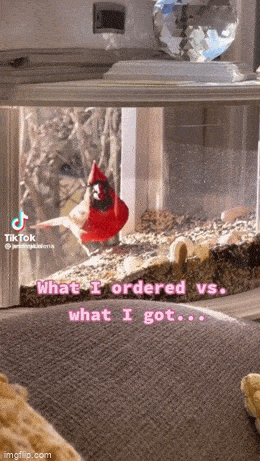 Просто гифки, всякие и&nbsp;разные