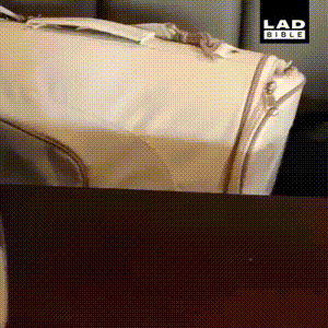 Просто гифки, всякие и&nbsp;разные