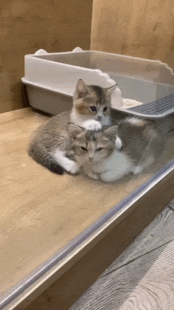 Просто гифки, всякие и&nbsp;разные