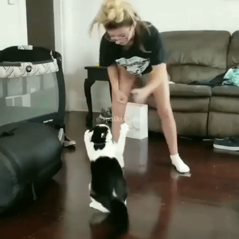 Просто гифки, всякие и&nbsp;разные