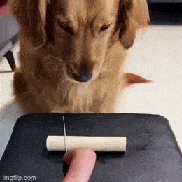 Просто гифки, всякие и&nbsp;разные