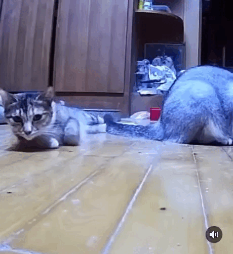 Просто гифки, всякие и&nbsp;разные