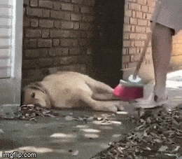 Просто гифки, всякие и&nbsp;разные