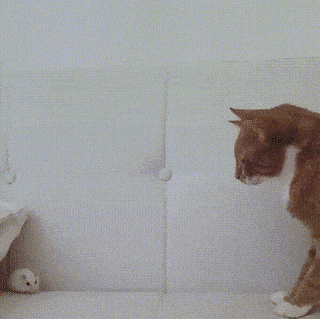 Просто гифки, всякие и&nbsp;разные