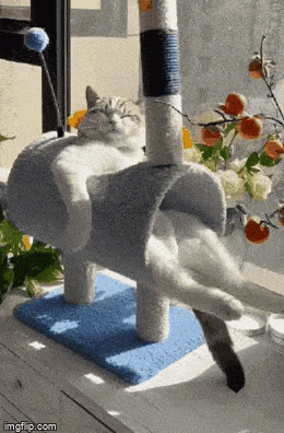 Просто гифки, всякие и&nbsp;разные